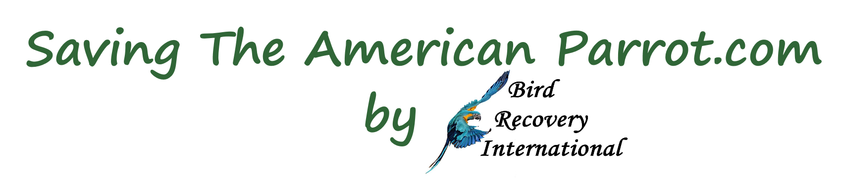 Saving The American Parrot.com